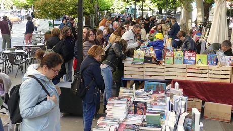 La Plaza de la Hispanidad vuelve a ser el epicentro del Día del Libro en Cuenca