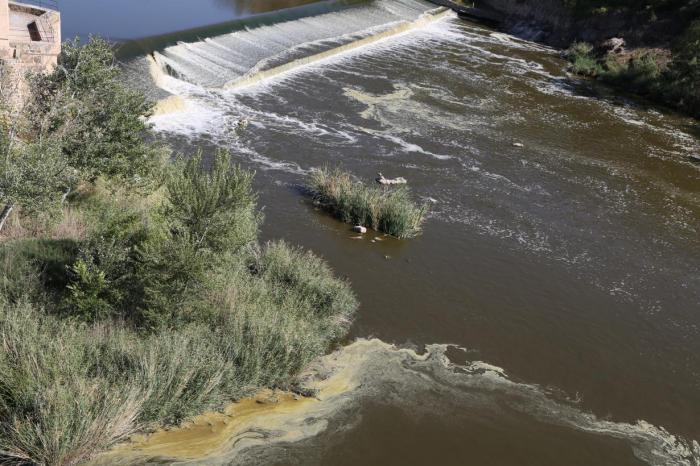 Castilla-La Mancha exige al Gobierno de España un río Tajo limpio y con caudal suficiente a su paso por Toledo