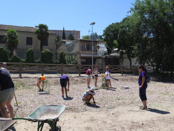 Castilla-La Mancha lanza una nueva modalidad para voluntarios de otros países y amplía la edad de participación en los campos de voluntarios a menores de 18 años