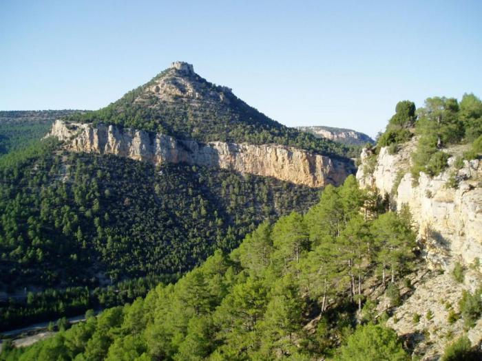 Castilla-La Mancha se une a la celebración del Día del Medio Ambiente con la entrega de los premios regionales y actividades en los parques naturales