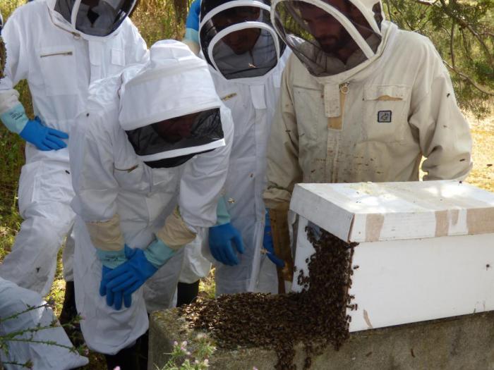 Una veintena de bomberos han participado en el curso de intervención apícola para la retirada de enjambres de abejas en el entorno urbano