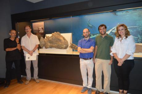 El Museo Paleontológico acoge a 'Paludidraco', un reptil marino de hace 230 millones de años, localizado en las excavaciones del pantano de El Atance