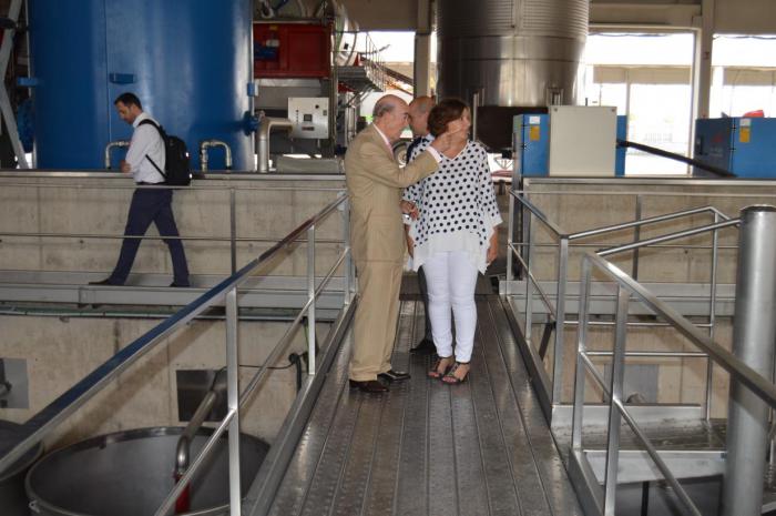 El empleo en el sector de la agricultura, en Castilla-La Mancha, ha crecido un 12 por ciento en los tres últimos años