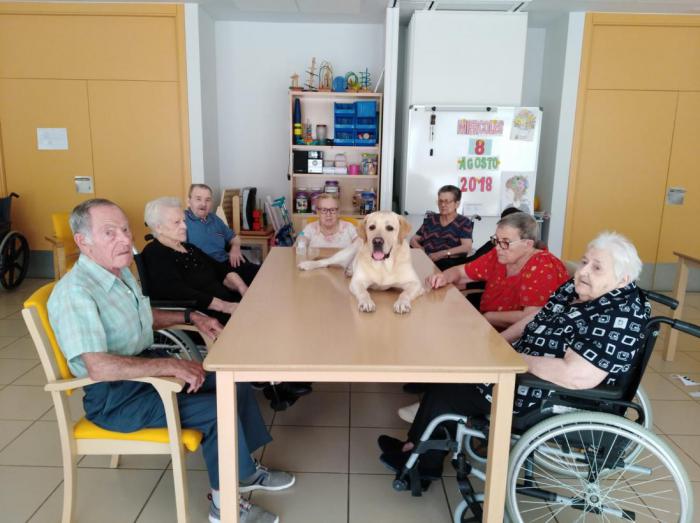 Cerca de 250 personas mayores han participado en el programa de Terapia Asistida con Perros