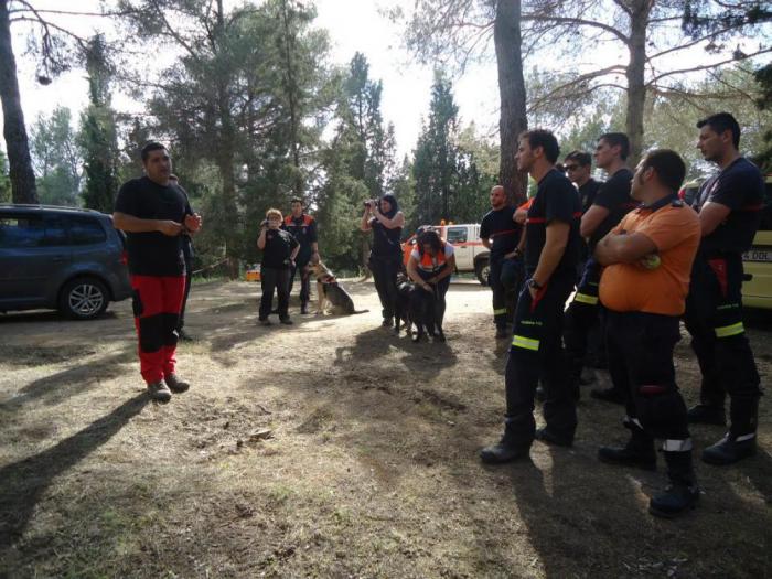 El Servicio de Emergencias 112 de Castilla-La Mancha ha coordinado más de 50 incidentes por desapariciones de personas en el primer semestre del año
