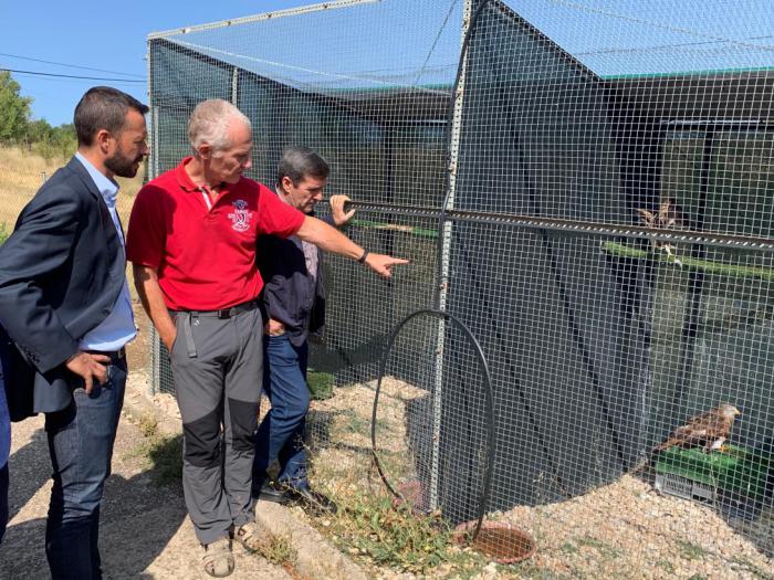 La Junta respalda la recuperación de aves rapaces en la región