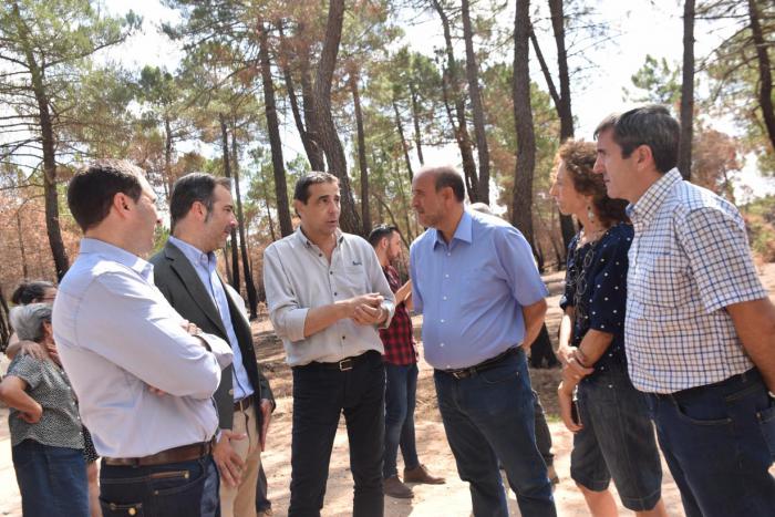 Antes de final de año comenzaran los trabajos de restauración de la zona afectada por el incendio de Barchín del Hoyo