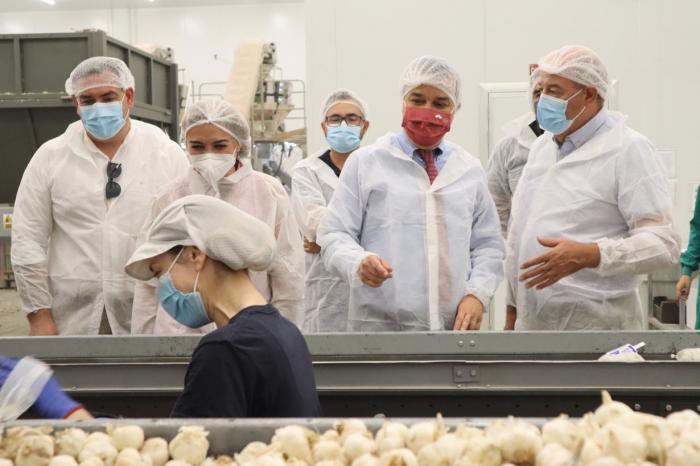 Castilla-La Mancha apuesta por el ajo morado de Las Pedroñeras como punta de lanza del sector por la economía social que genera en la región