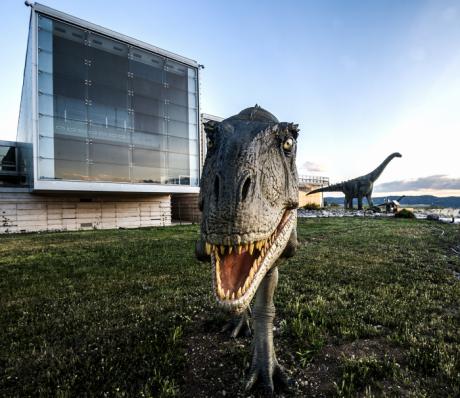 Museo de Paleontológico