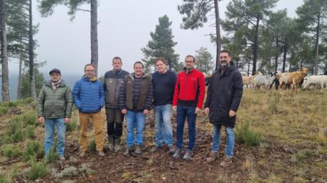 Publicadas la nueva convocatoria de ayudas para fomento del pastoreo en la prevención de incendios forestales por importe de 360.000 euros