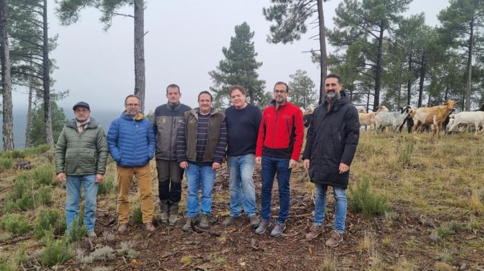 Publicadas la nueva convocatoria de ayudas para fomento del pastoreo en la prevención de incendios forestales por importe de 360.000 euros