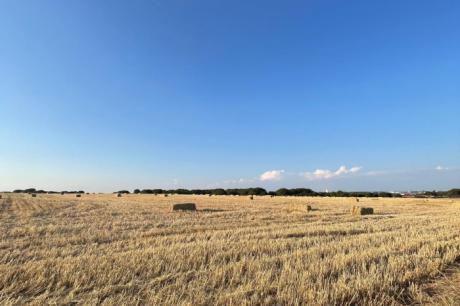 El PSOE de Cuenca denuncia un 'tasazo' de 513.000 euros impuesto por el alcalde de Fuentelespino de Haro a los agricultores