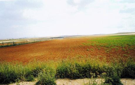 ASAJA celebra la setencia que condena a ADIF a indemnizar a unos agricultores por los daños causados por los conejos en las parcelas que tienen junto a la línea del AVE a su paso por Tarancón