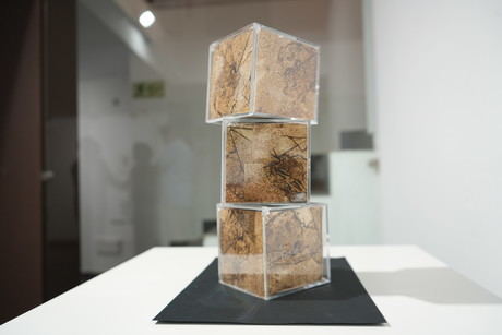 El yacimiento romano de Valeria inspira una exposición sobre la memoria de las ruinas arquitectónicas en la sala ACUA