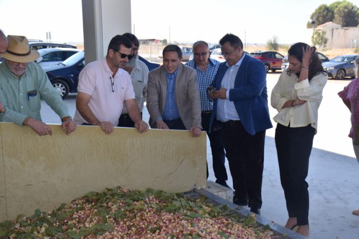 El pistacho consolida su liderazgo en Cuenca con más de 8.700 hectáreas sembradas y una producción al alza