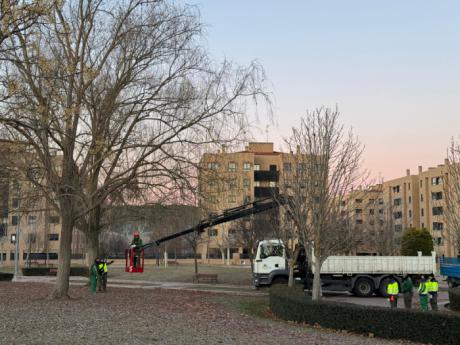 El Ayuntamiento avanza en el Plan de Podas actuando sobre el arbolado de la ciudad para garantizar la seguridad ciudadana