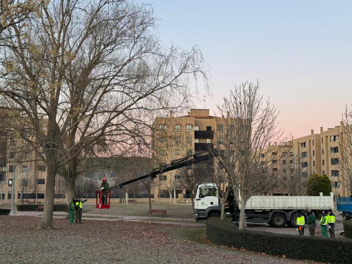 El Ayuntamiento avanza en el Plan de Podas actuando sobre el arbolado de la ciudad para garantizar la seguridad ciudadana