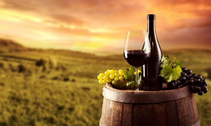 ADIMAN pone en valor a la ruta del vino de La Manchuela en el Día Mundial del Enoturismo