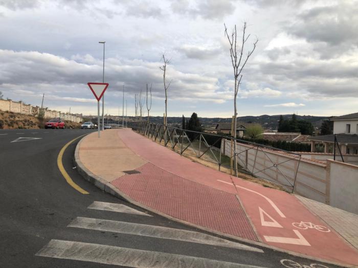 Toledo planta 49 árboles en la avenida Adolfo Suárez para hacer más confortable el paseo de viandantes y ciclistas