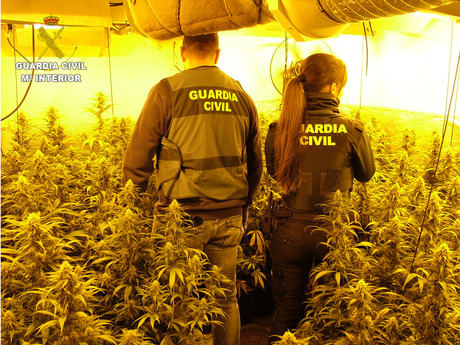 Dos detenidos en Enguídanos por cultivo de marihuana y fraude eléctrico en la Operación FRAUS 5