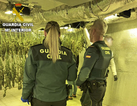 Desmantelan una plantación de marihuana indoor en la urbanización “El Ballestar” de Barajas de Melo