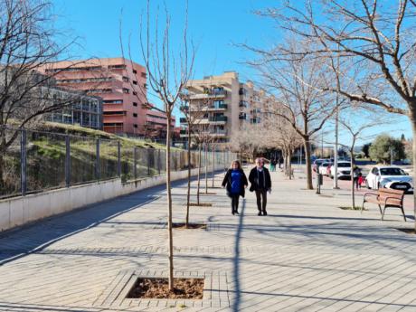 Continúan las plantaciones en el barrio del Polígono con 198 árboles y más de 1.100 arbustos en diferentes puntos y zonas