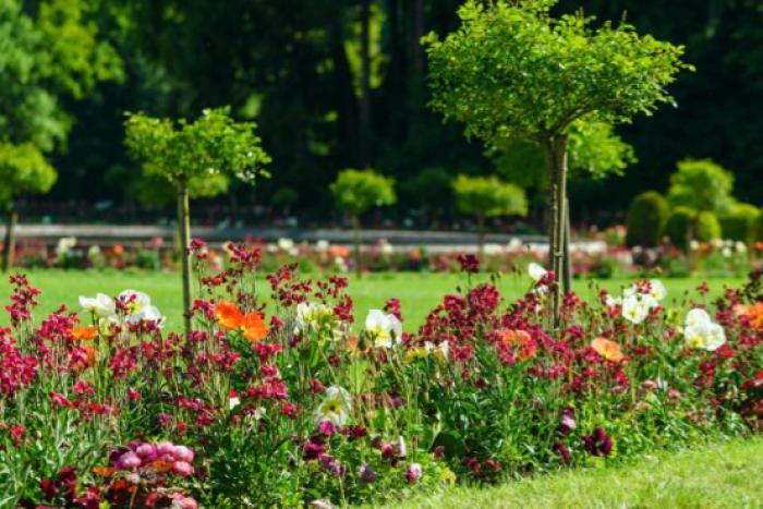 Siete consejos para cuidar tu jardín como un profesional