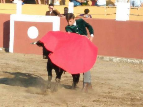 Gran tarde de novillada sin picadores en Almodóvar del Pinar