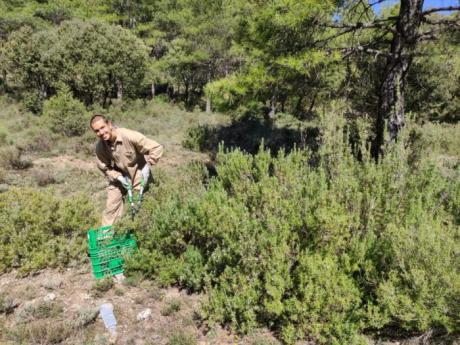 Invierte en Cuenca anuncia la puesta en marcha de la destilería artesanal Esencias Silvestres