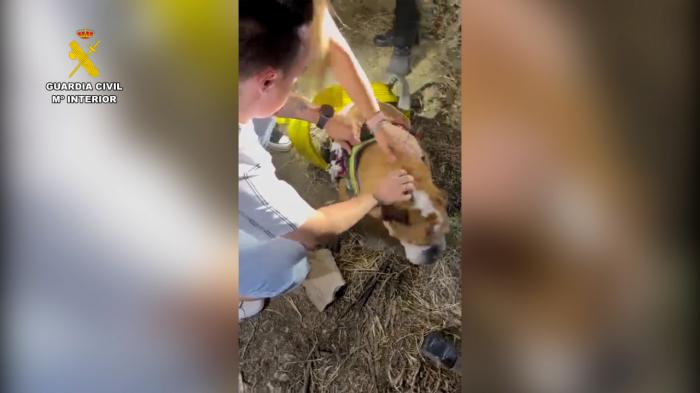Rescatado un perro que había caído a un pozo en Tarancón