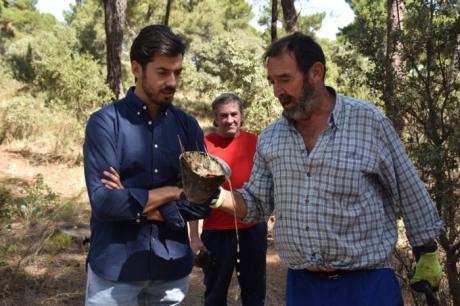 Diputación publica la convocatoria de ayudas para autónomos del sector de la resina, dotada con 30.000 euros
