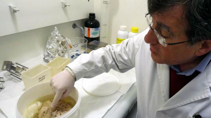 La UCLM lamenta el fallecimiento del profesor Ricardo Insausti, referente internacional en la investigación del alzhéimer