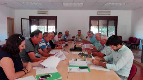 La producción de vino y mosto en Castilla-La Mancha será inferior a la de la pasada campaña