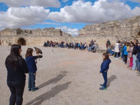 Segóbriga supera los 58.000 visitantes, por encima de la media desde que hay registros