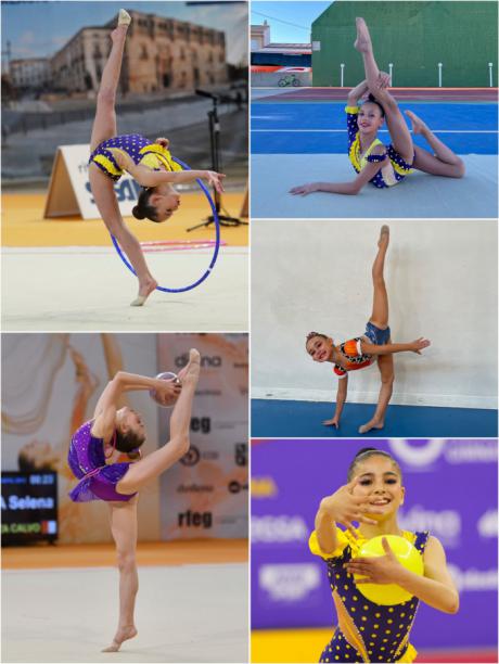 Cinco gimnastas del Club Esperanza Calvo, seleccionadas para el programa de proyección 2026