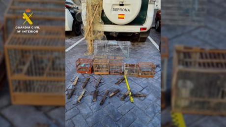 Investigado en Talavera de la Reina por la captura ilegal de jilgueros con artes de caza prohibidas