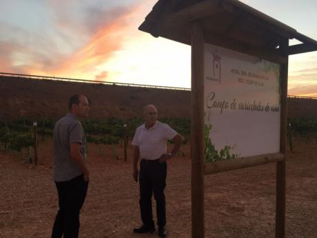 IU visita la Cooperativa “Virgen de Manjavacas” para analizar el desarrollo de la vendimia 2017
