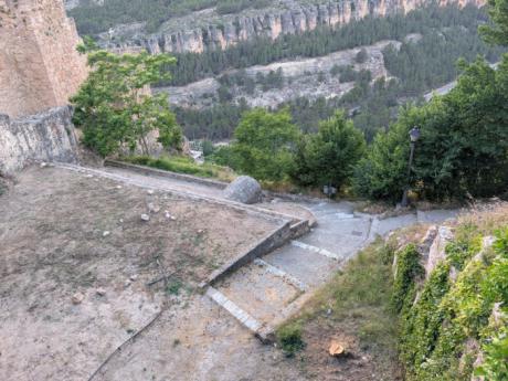 Cuenca en Marcha pide explicaciones por la tala de varios cipreses junto al Arco de Bezudo