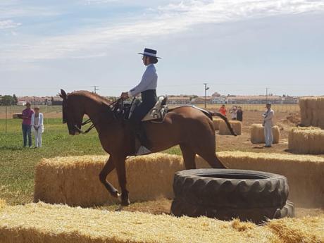 Los jinetes conquenses consiguen seis medallas en el campeonato de El Provencio