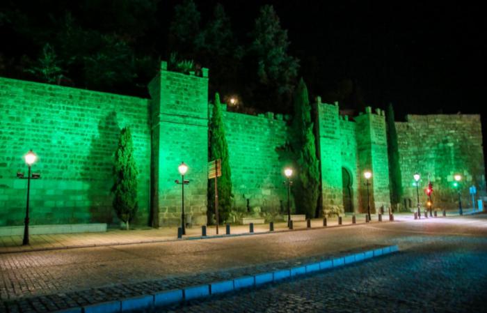 Toledo iluminará este jueves en color verde espacios destacados de la ciudad con motivo del Día Mundial de la Miastenia