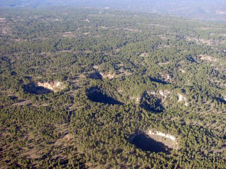 Se recibe el primer certificado internacional FSC por su gestión forestal sostenible en el monte conquense de Los Palancares