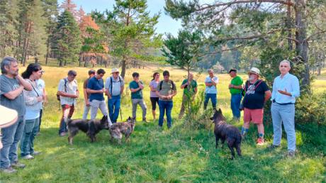 La UCLM aborda en Vega del Codorno los retos actuales de la trashumancia en un curso de verano pionero
