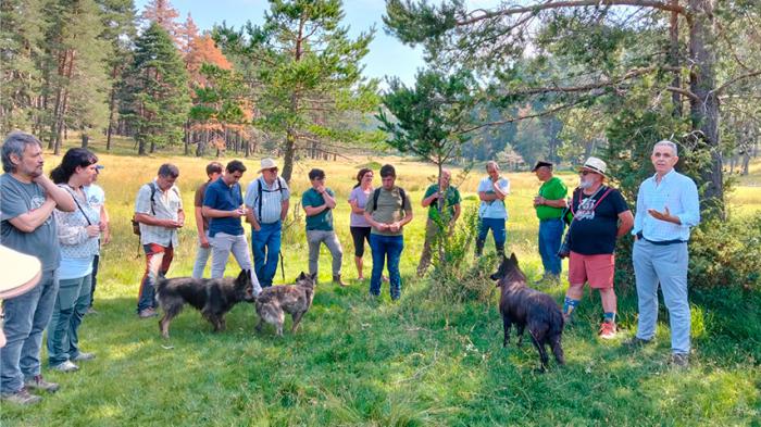 La UCLM aborda en Vega del Codorno los retos actuales de la trashumancia en un curso de verano pionero