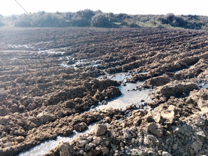 Se detectan vertidos de purines en Carboneras de Guadazaón que incumplen la ordenanza aprobada por el Ayuntamiento