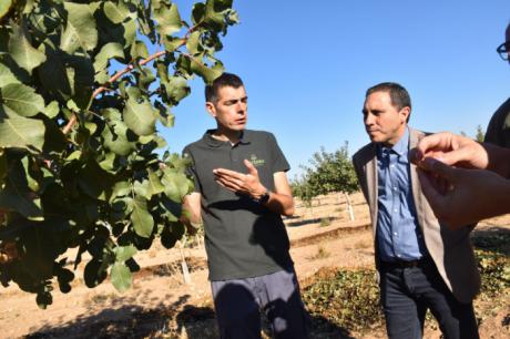 Pisterra multiplica por cinco su producción de pistacho con apoyo de las ayudas Integra 4.0