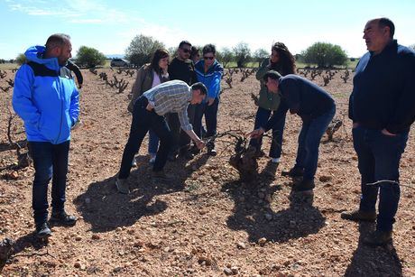 Más de 110 cotos recibirán ayudas para controlar los conejos en la provincia
