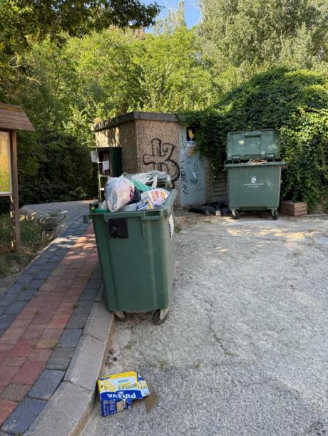 El Partido Popular denuncia el abandono de Cañete y exige al Ayuntamiento socialista un plan urgente de mejora urbana
 
 