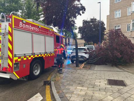 La tormenta causa caída de árboles, filtraciones y achiques en varios puntos de Cuenca