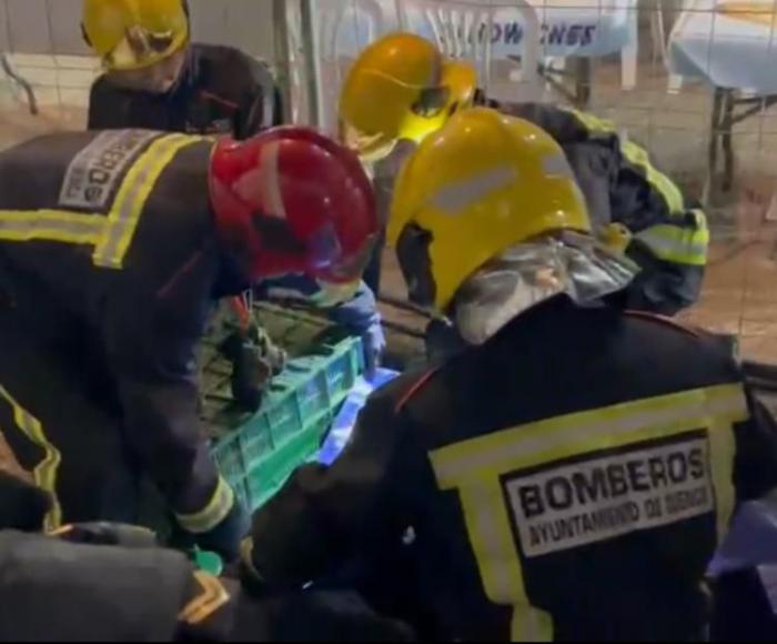Bomberos de Cuenca rescatan un búho real en el Recinto Ferial