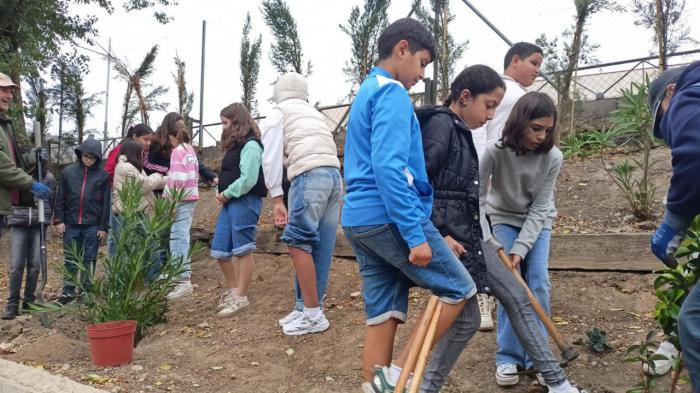 Tarancón celebra el Día contra el Cambio Climático con una plantación simbólica de árboles junto a escolares